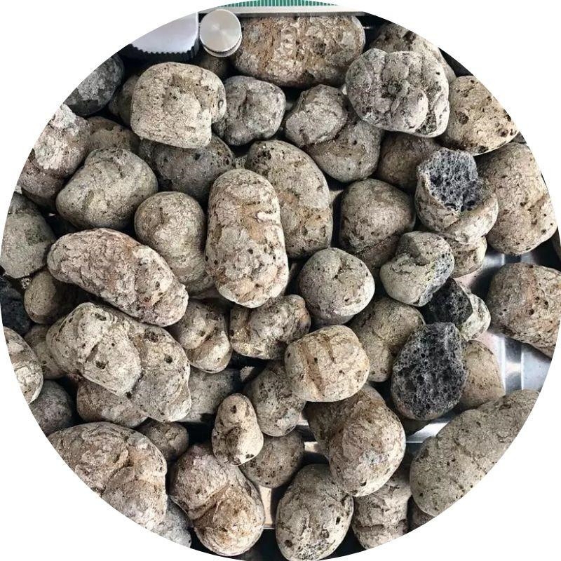 粘土陶粒